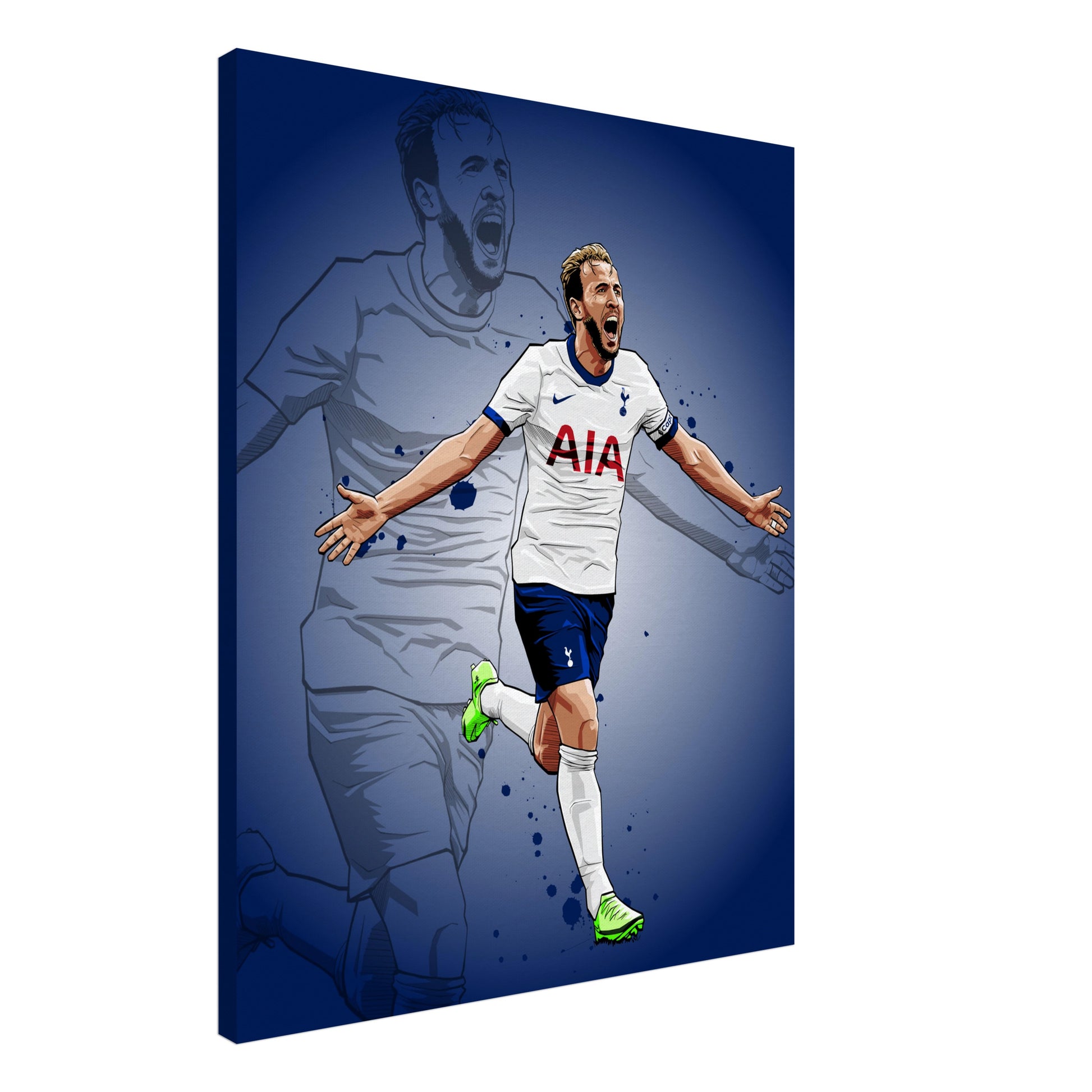 harry kane canvases